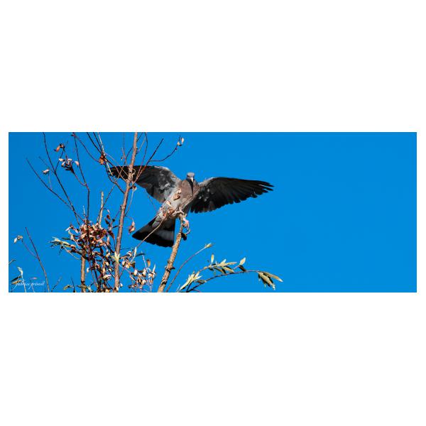 PHOTO84, CLUB, 84 , LUBERON